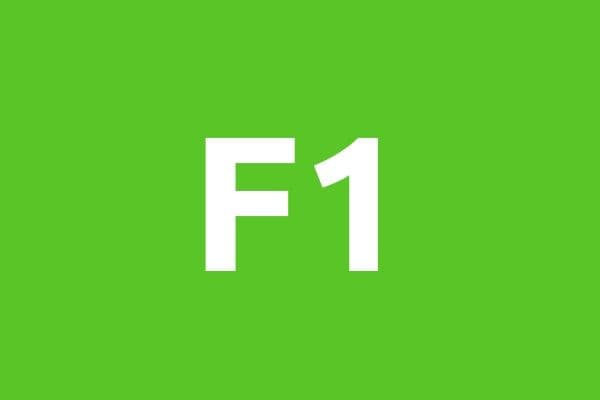 Parking F1 Premium